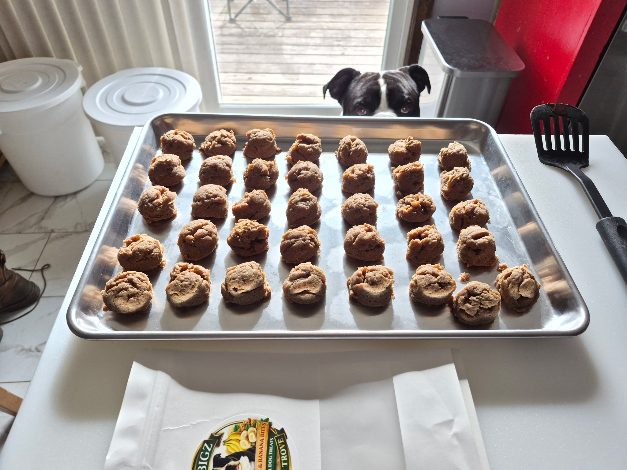 Peanut Butter & Banana Bites
