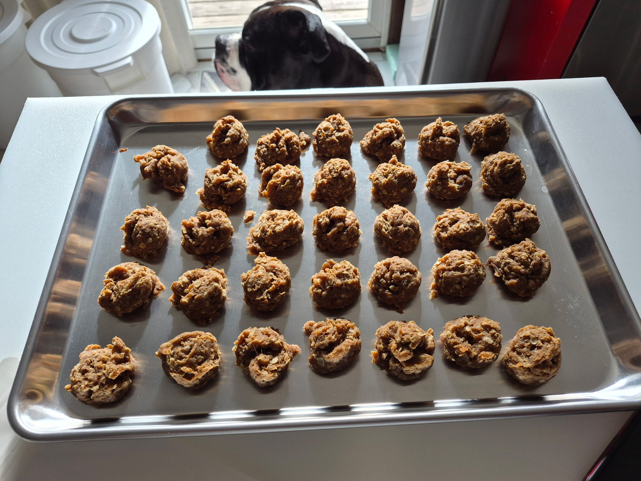 Oaty Pup Drops