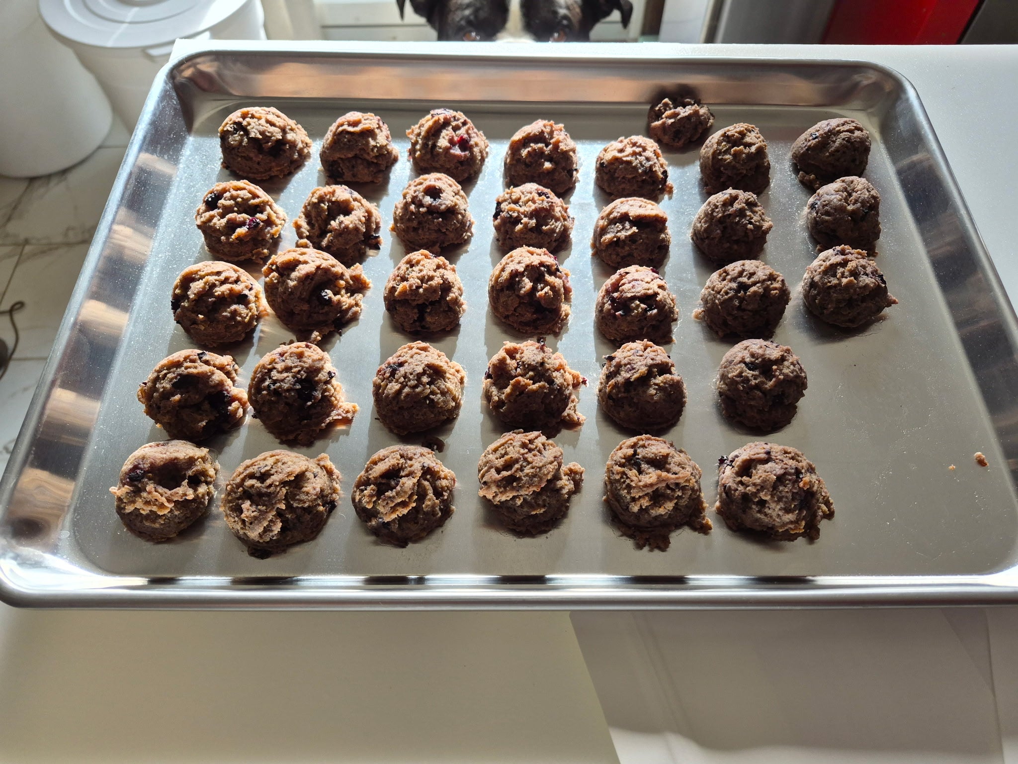 Blueberry Coco Bursts