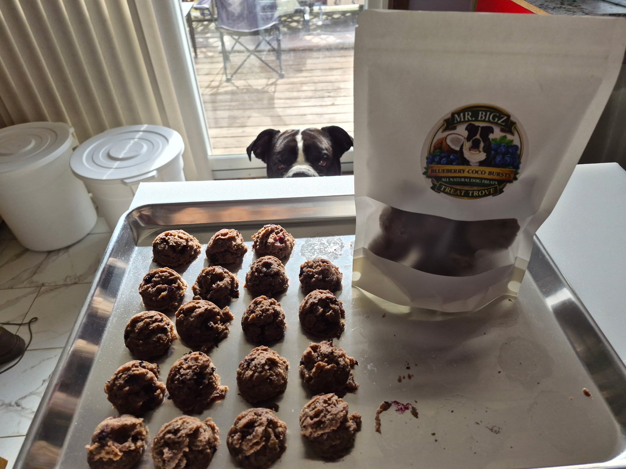 Blueberry Coco Bursts