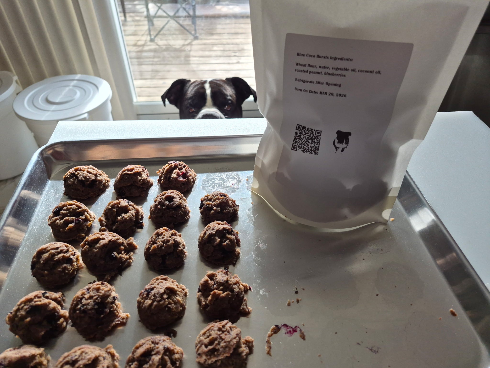 Blueberry Coco Bursts