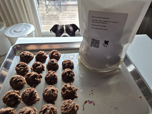 Blueberry Coco Bursts